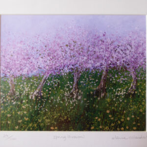Spring Blossom